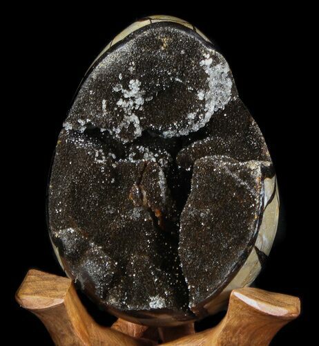 Septarian Dragon Egg Geode - Black Crystals #36711